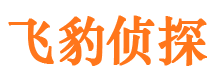 安阳外遇出轨调查取证